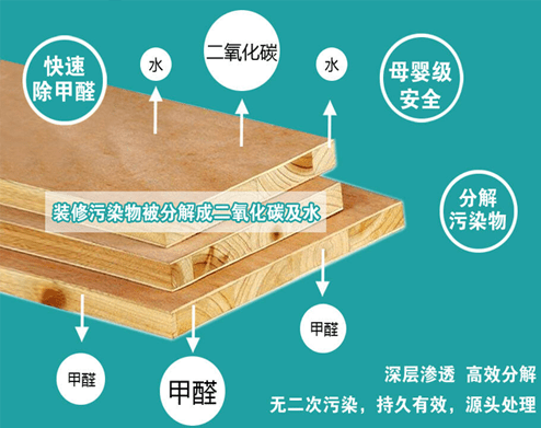 專業專注